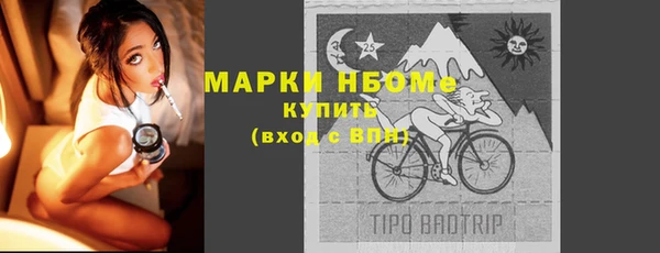 дмт Богородск