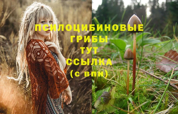 mdpv Богданович
