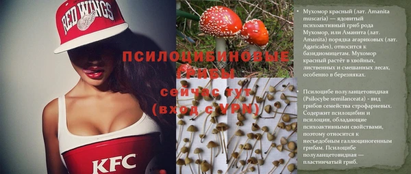 амфетамин Богородицк