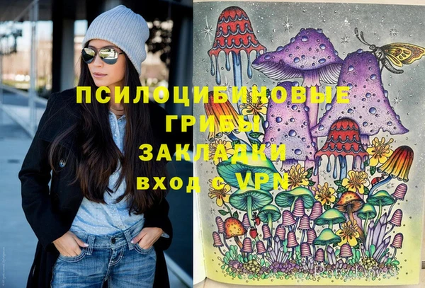 mdpv Богданович
