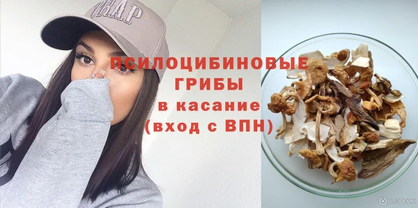 дмт Богородск