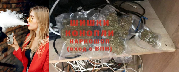 дмт Богородск